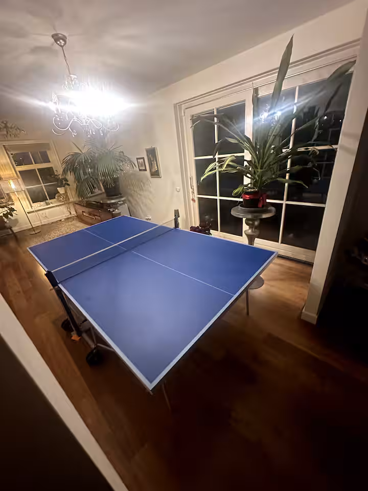 Blue table tennis table indoors beside tall glass doors to the garden